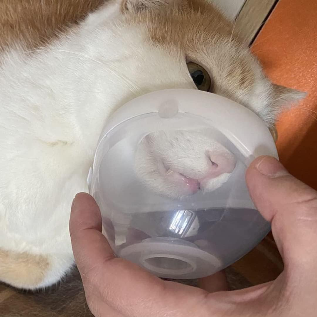 Pet Low Noise Nebulizer for Cats and Dogs (Small - Cat and Puppy) image number 2