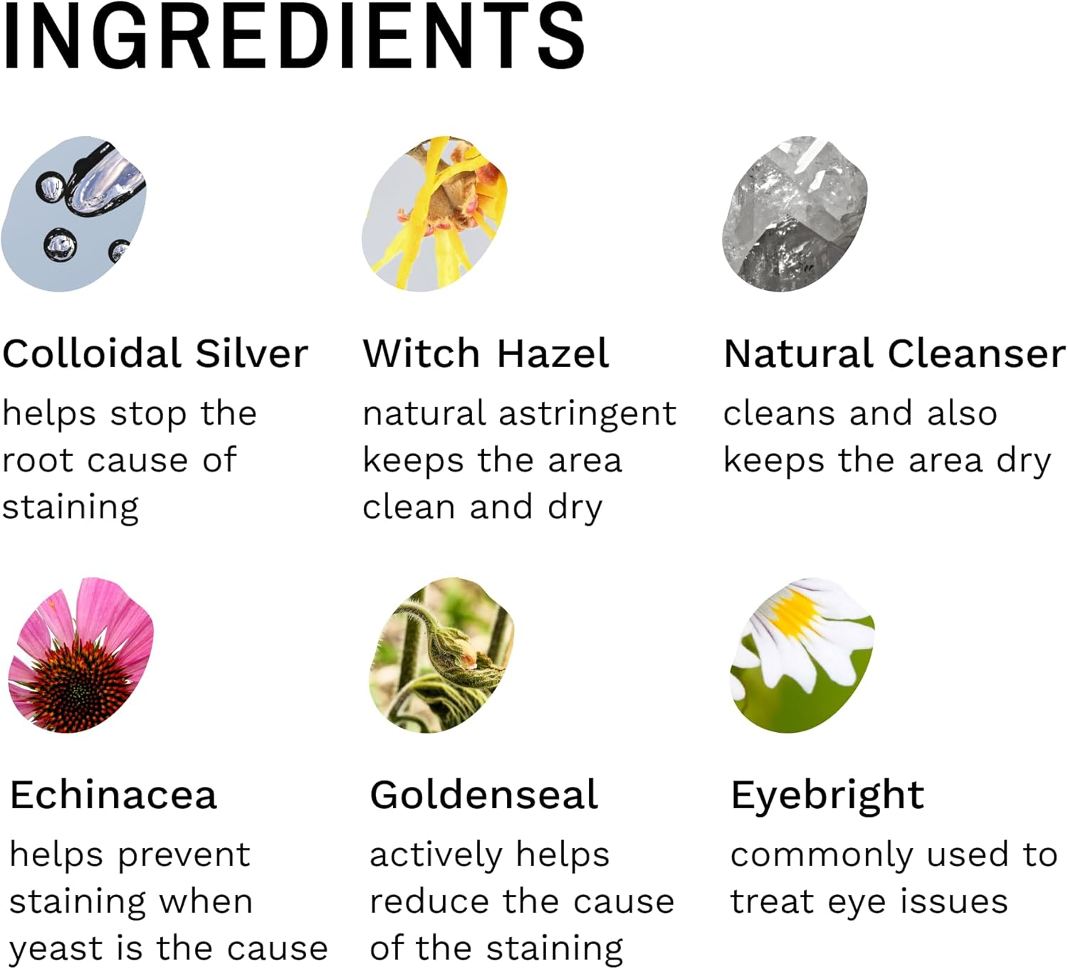 Eye Envy Dog Tear Stain Remover Starter Kit with Propowder Brush | Stain Solution, Applicator Pads, Stain Powder and Large Applicator Brush | Lasts 30-45 Days image number 4