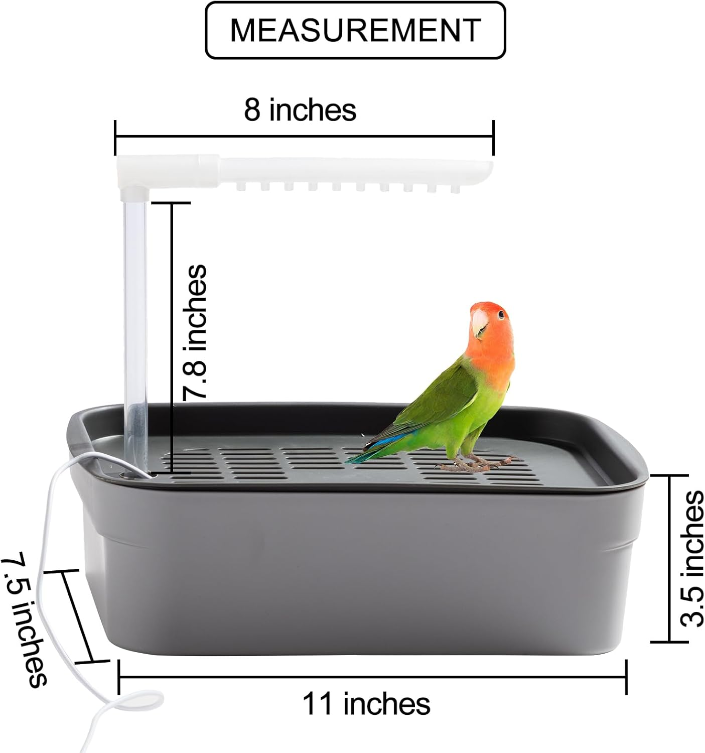 Bird Bath Box With image number 6