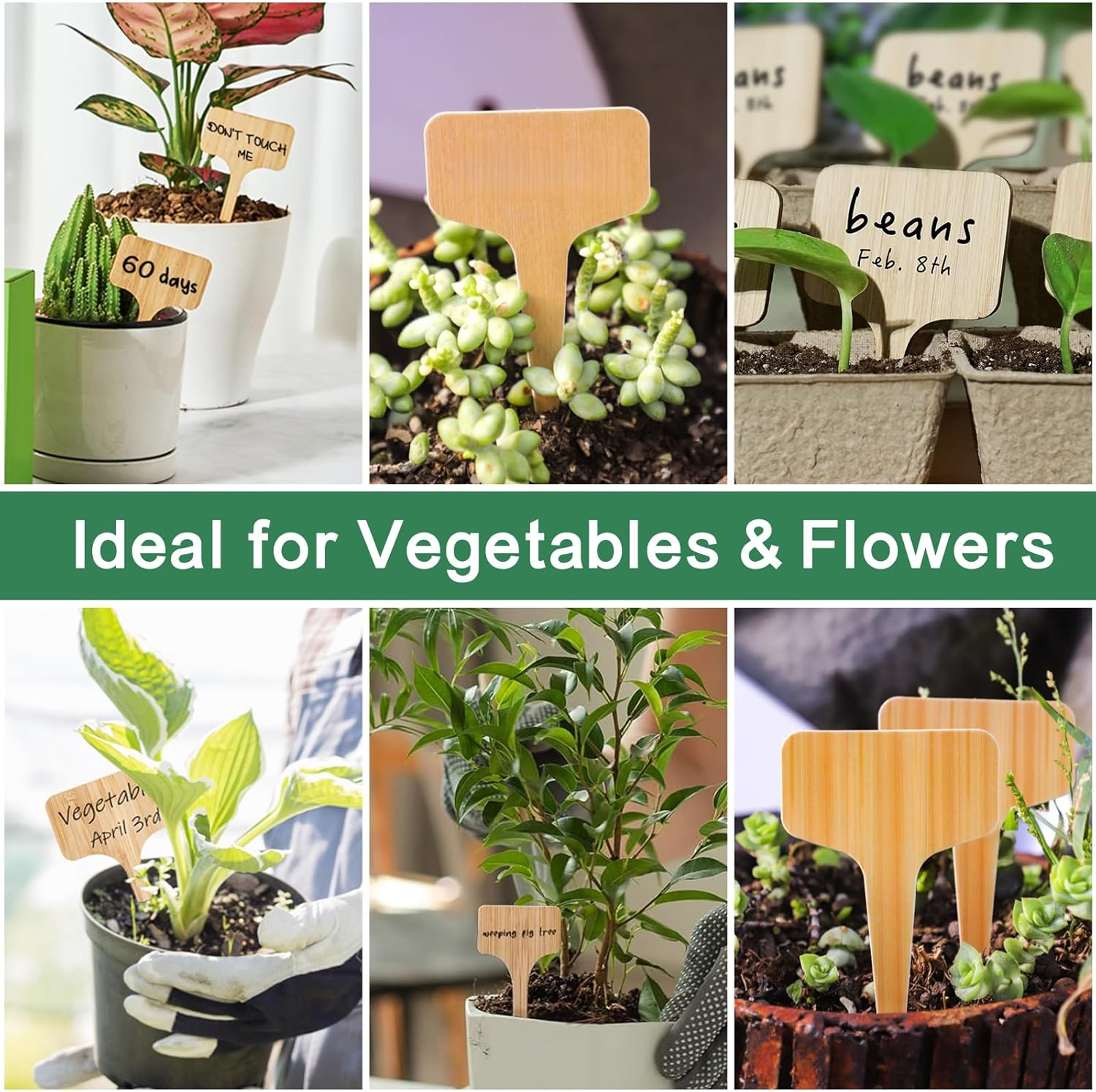 Plant Labels 100 PCS Bamboo-Pattern PVC Garden Tags with Marker Pen, Waterproof T-Type Plant Label Stakes for Outdoor Plants, Seedlings, Herbs & Vegetables &ndash; Verdantvibes image number 3