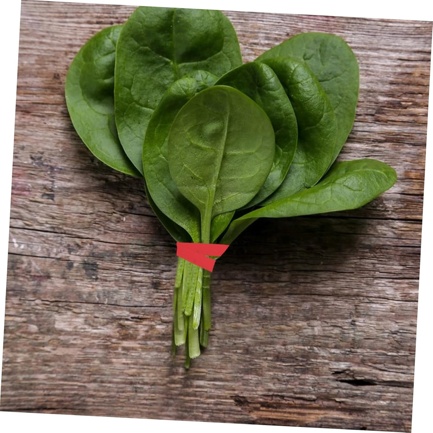 MUCKLILY 10Pcs Produce Adhesive Tape 12Mm X 45M Colorful Plastic Bag Sealing Tape for Fruits and Vegetables Freshness Preservation Packaging - Red image number 2