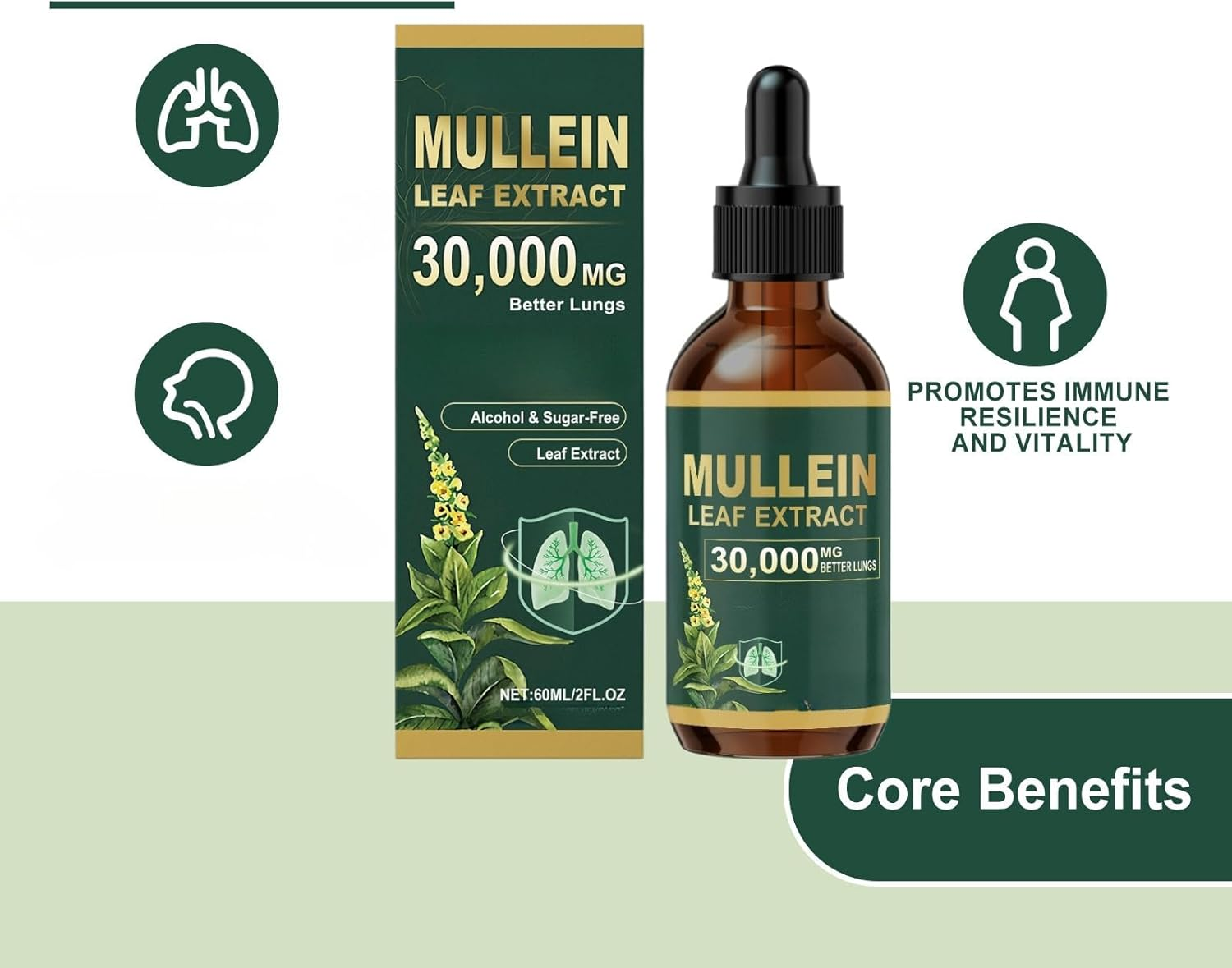 Mullein Leaf Extract Serum, Natural Herbal Liquid Extract, Alcohol-Free Concentrated Botanical Tincture, Traditional Herbal Formula for Daily Wellness, 60Ml Dropper Bottle image number 5