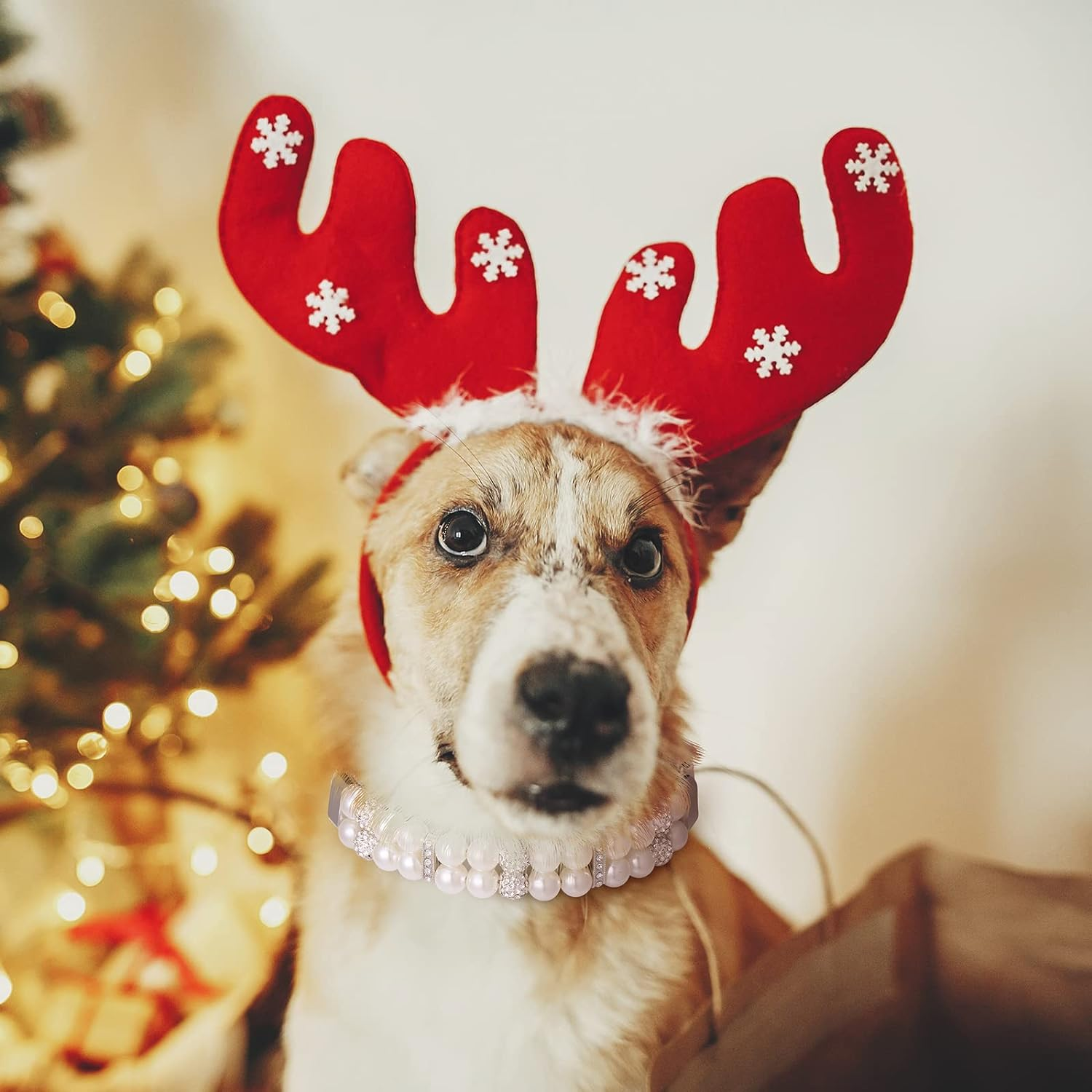 4 Pieces Dog Pearl Collars Pet Pearl Necklace Set Cat Pearl Neck Strap Crystal Rhinestones Pearls Charms for Small Dogs Cats Wedding Birthday Party (Medium) image number 2