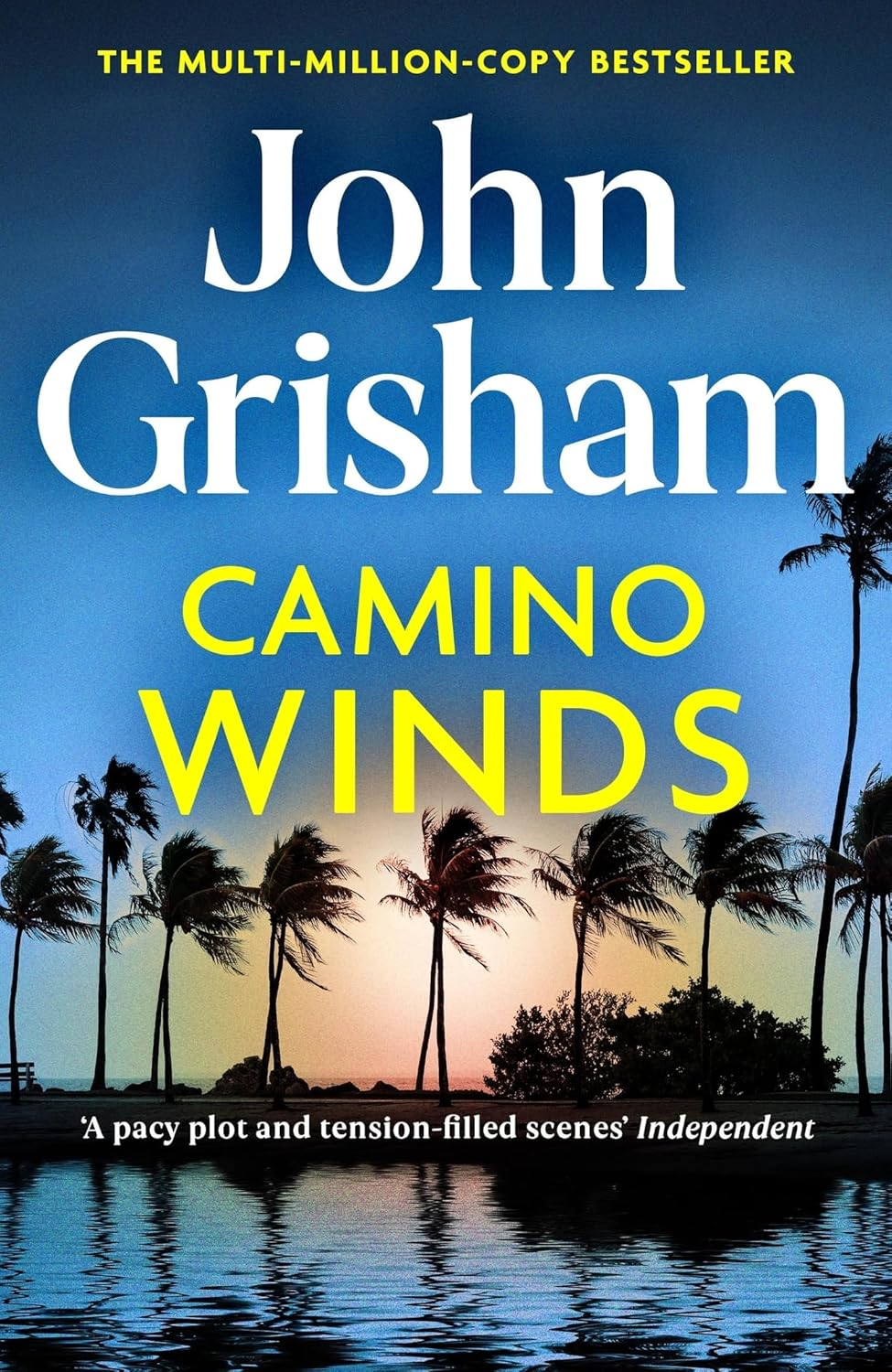 Camino Winds: the Pulse-Pounding Crime Thriller from the Number 1 Sunday Times Bestselling Author image number 1