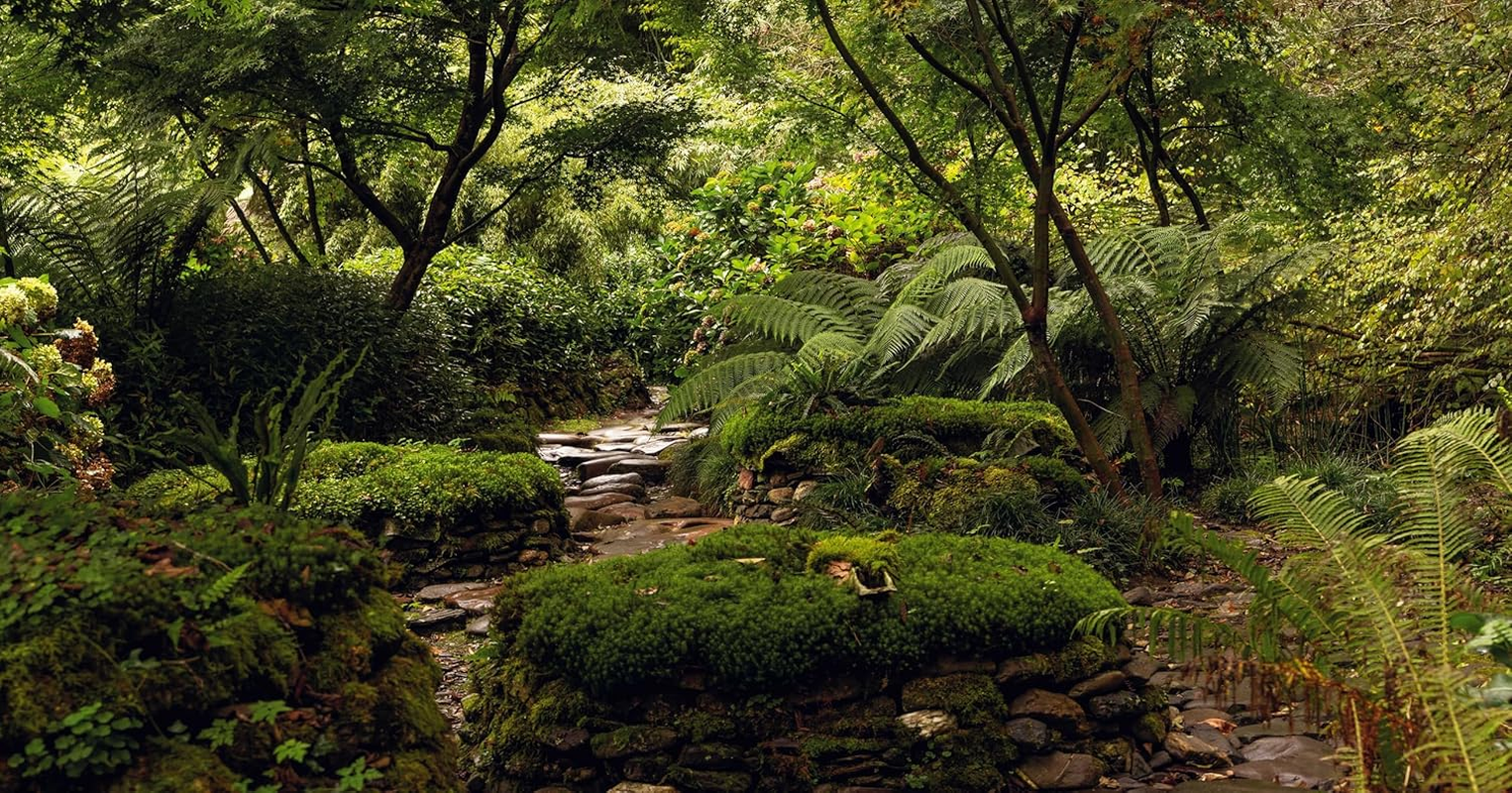 Spanish Gardens image number 6