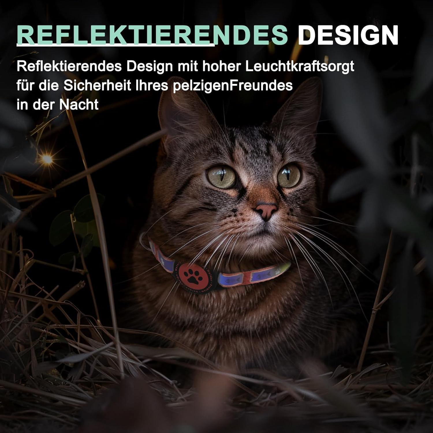 Airtag Breakaway Cat Collar, Reflective Kitten Collar with Airtag Holder and Bell, Comfortable Padding, Adjustable, Durable, Suitable for Cats (Orange, S) image number 5