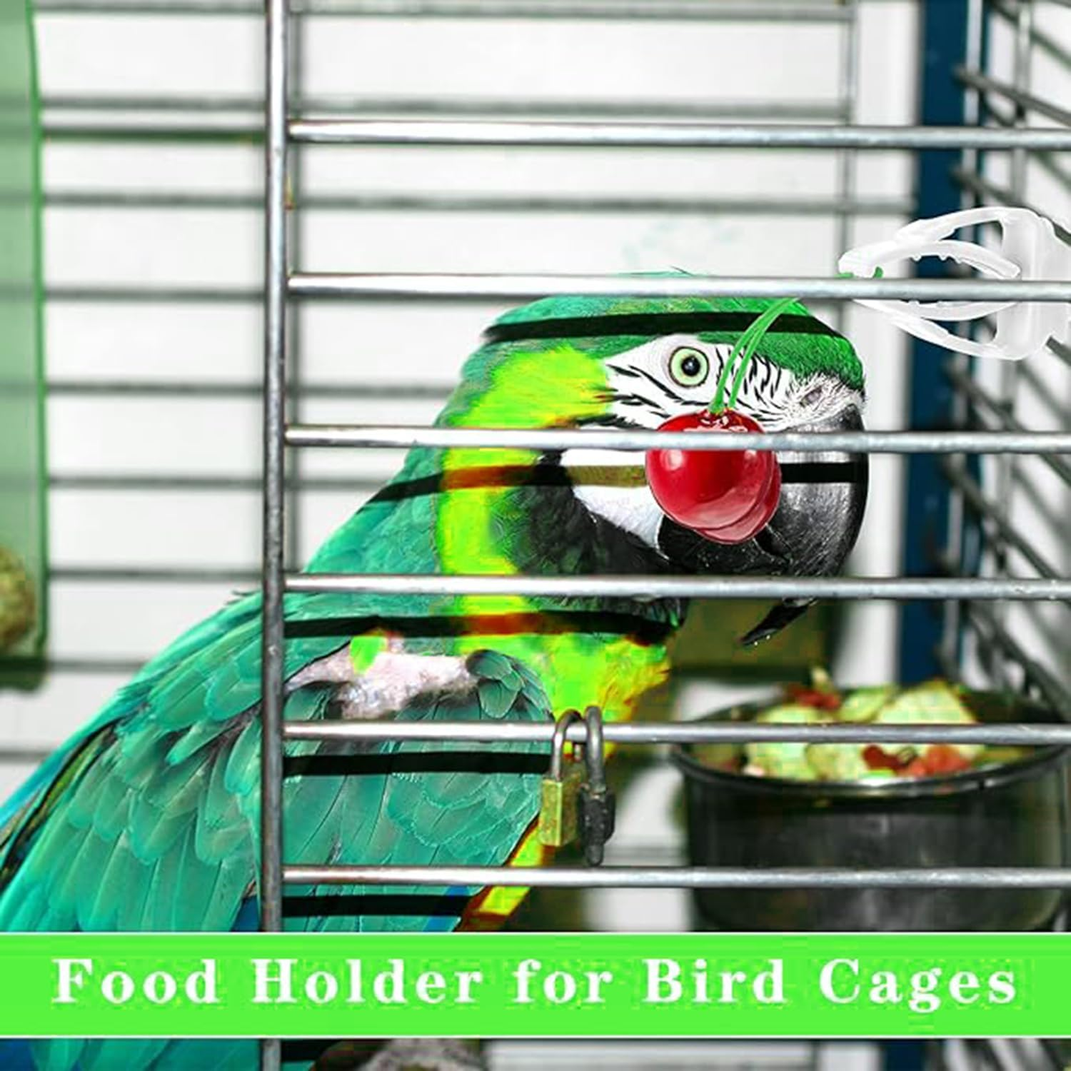 12Pcs Bird Cage Fruit Vegetable Clips, Bird Cage Food Clips, Food Holder, Parrot Fruit Vegitable Bracket, Feeder for Budgie Parakeet Cockatoo Macaw Cockatiel Conure image number 3