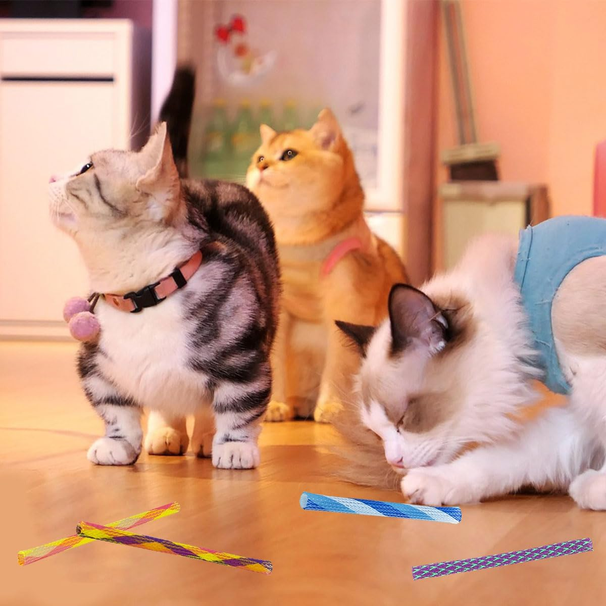 Cat Toy, Cat Spring Toy, Colourful Creative Plastic Spiral Springs Spiral, Interactive Spiral Cat Toy, Plastic Spiral Springs, Spiral Cat Toy, Toy Spiral Springs, 20 Pieces image number 1