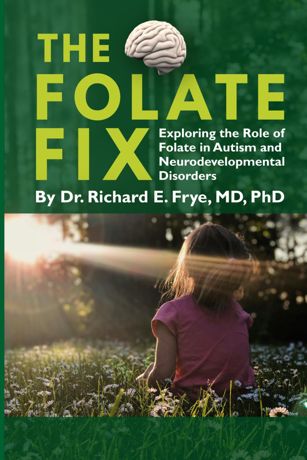 The Folate Fix: Exploring the Role of Folate in Autism and Neurodevelopmental Disorders image number 1