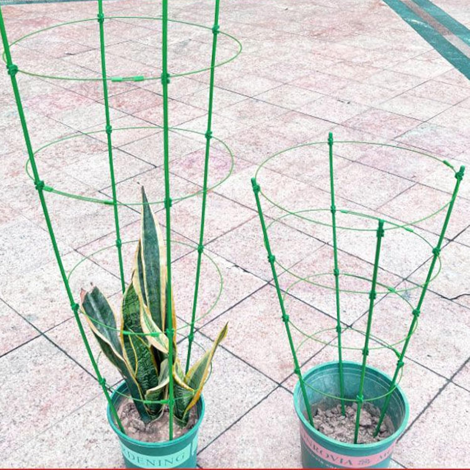 Tomato Cages for Garden - Tomato Cages Heavy Duty Trellis,3X Tall Plant Support Stakes for Flowers Fruits Vegetables Vines, Cucumber Flower Stands image number 4