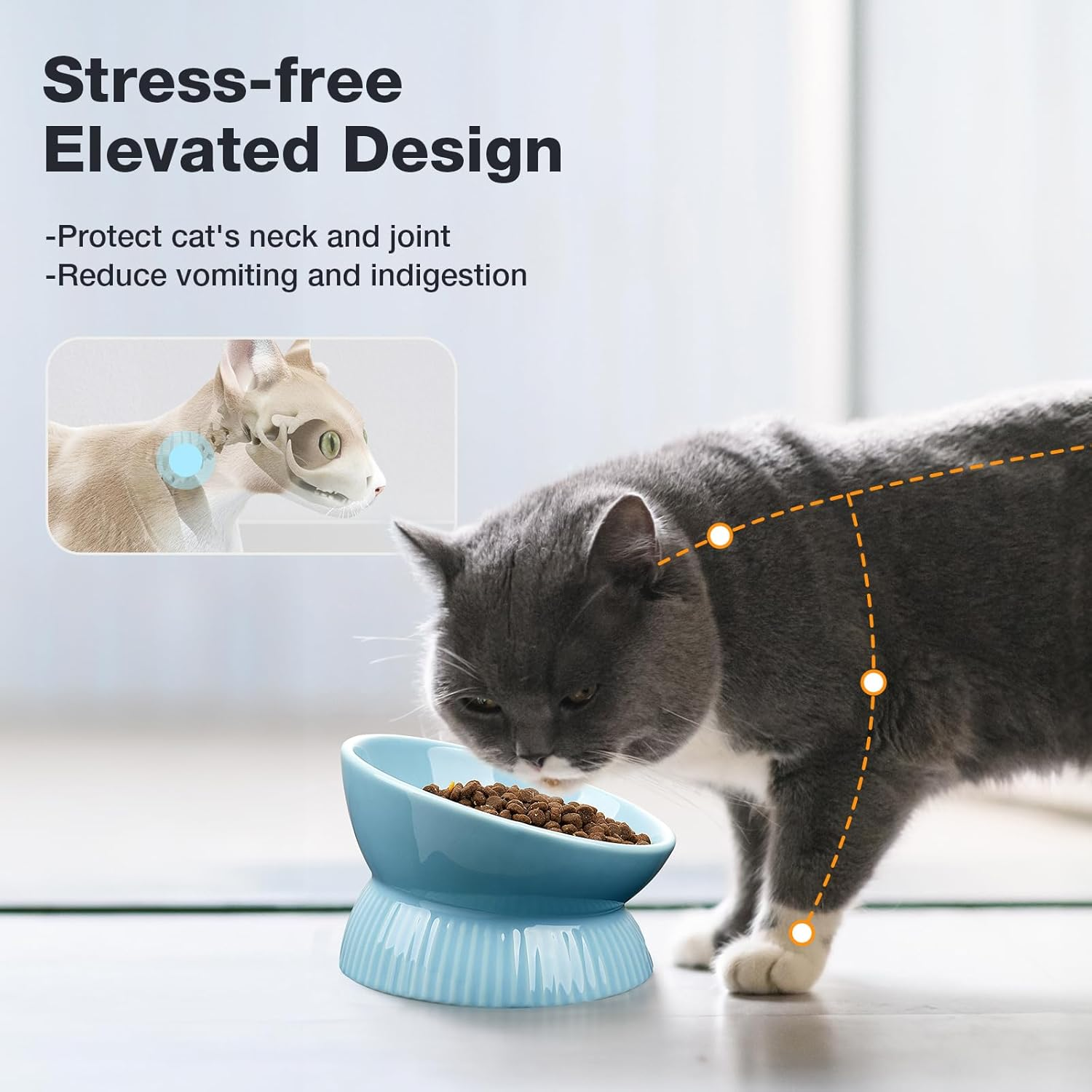 Elevated Cat Bowl, Ceramic Tilted Cat Food Bowl, anti Vomiting, Stress Free on Neck and Spine, Spill-Proof, Anti-Tipping, Dishwasher Safe, Raised Cat Bowls for Indoor Cats, Dry/Wet Food, Blue image number 3