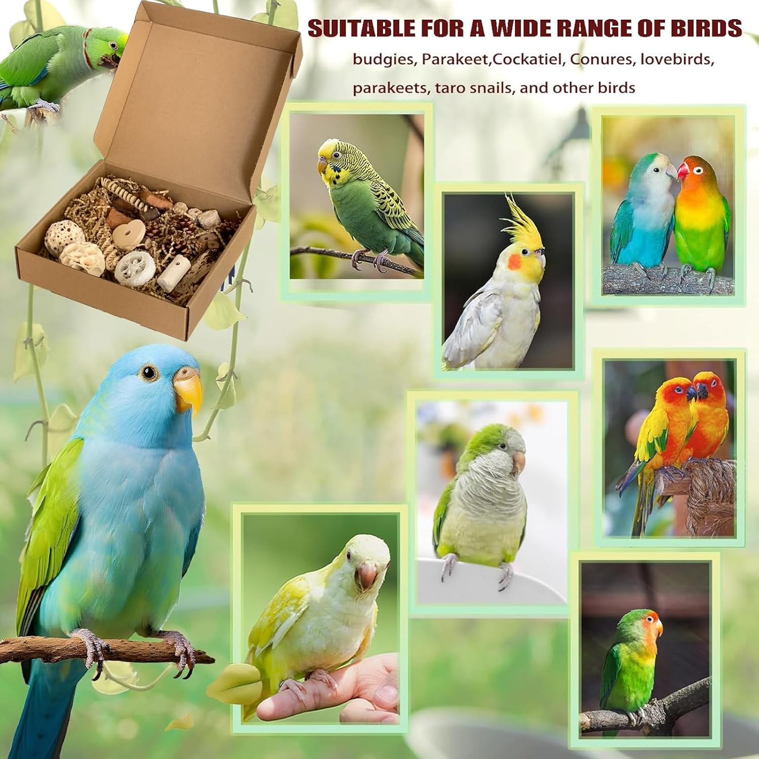 Bird Foraging Shredding Toys Box, Birds Natural Interactive Chew and Forage Toy for Parakeets, Parrot, Cockatiels, Conures, Lovebirds