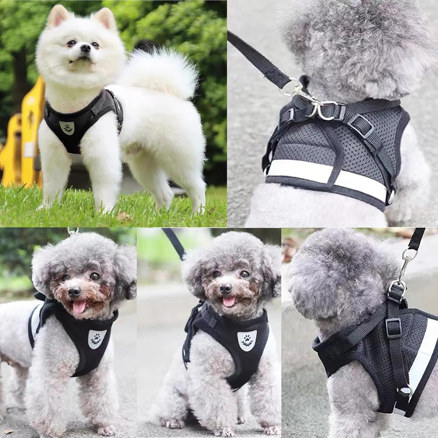 Dokeno Cat Harness with Lead Set, Cat Lead with Harness, Escape Proof for Cats, Soft Mesh Vests, Harnesses with Luminous Strips for Outdoor Training, Walking (XS) image number 6