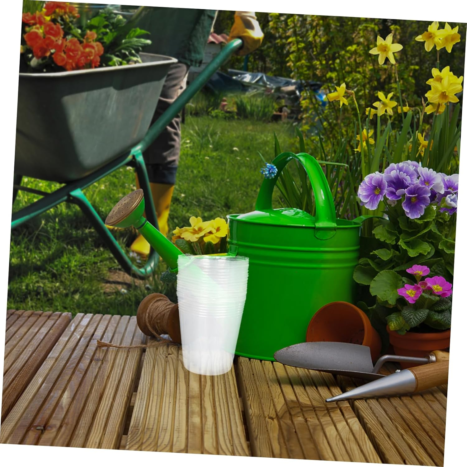 CAXUSD 30Pcs Plastic Plant Nutrient Cups for Phalaenopsis and Succulent Seedlings, 3.5-Inch Tall Gardening Nursery Pots, Outdoor and Indoor Garden Supply image number 5