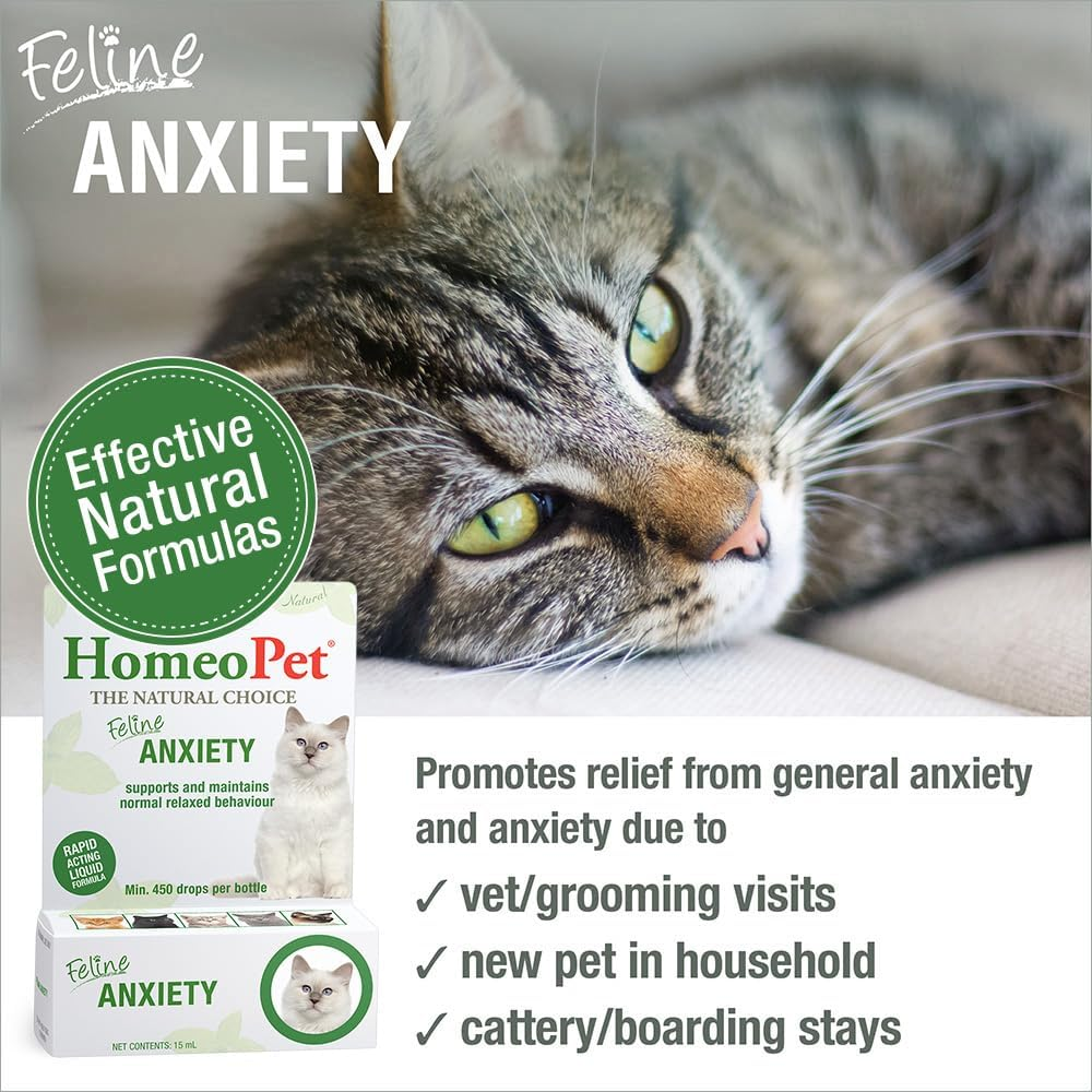 Homeopet Feline Anxiety 15 Ml &ndash; Calming Behavioural Relief for Stressed Cats image number 1