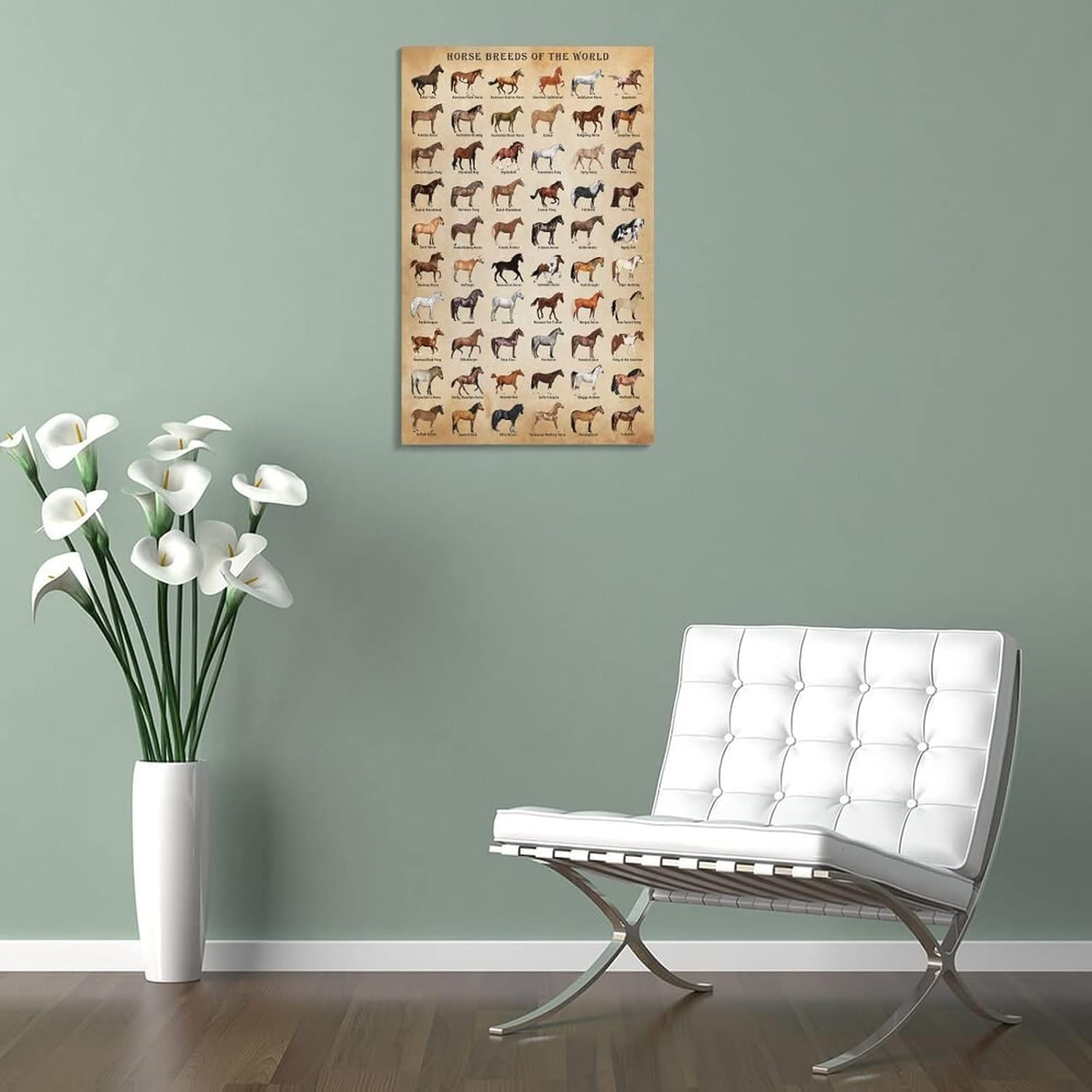 Horse Knowledge Horse Breeds of the World Poster Framed 12X16Inch image number 4