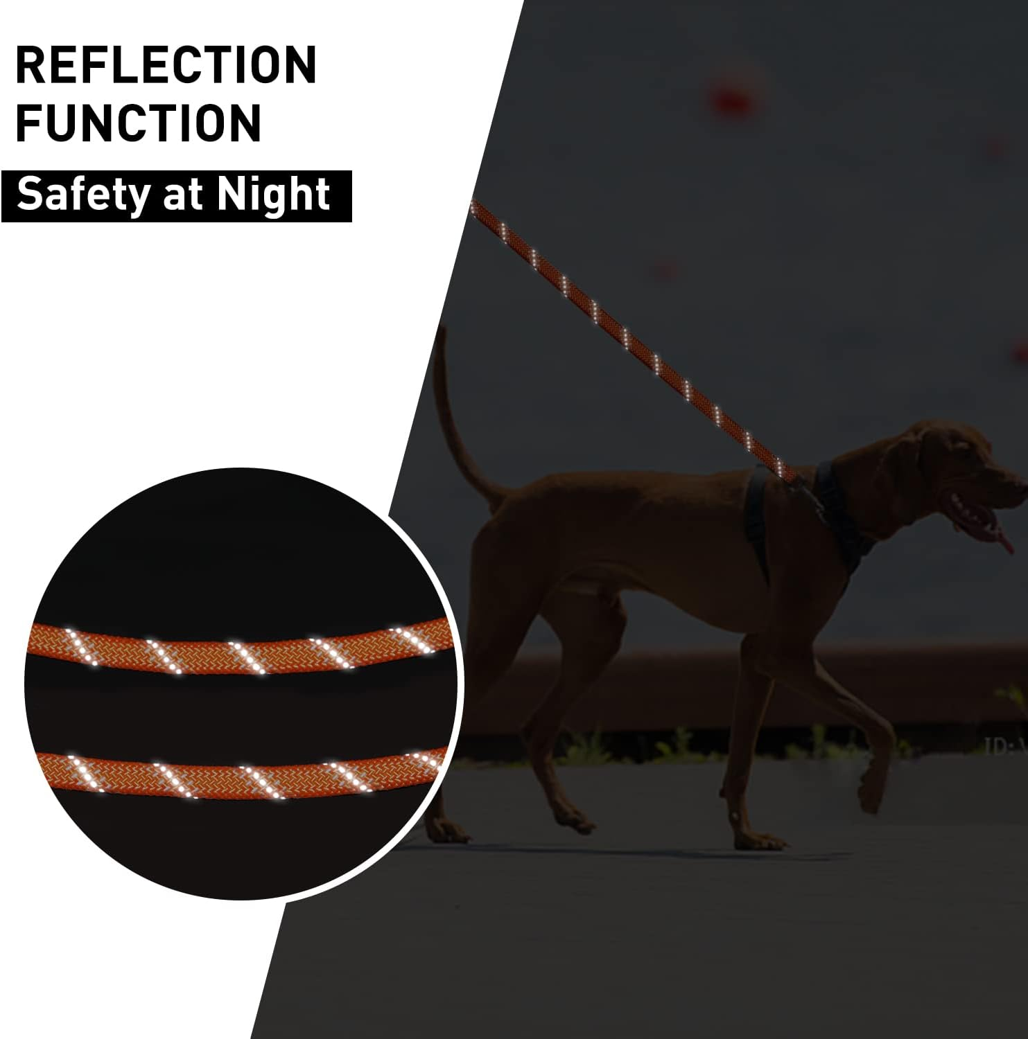 CANDYDOG Recall Lead 10 M for Dogs, without Handle, with 2 Climbing Carabiners, Suitable for Small to Large Dogs, Orange - Classic Dog Leads and Lead Ropes image number 1