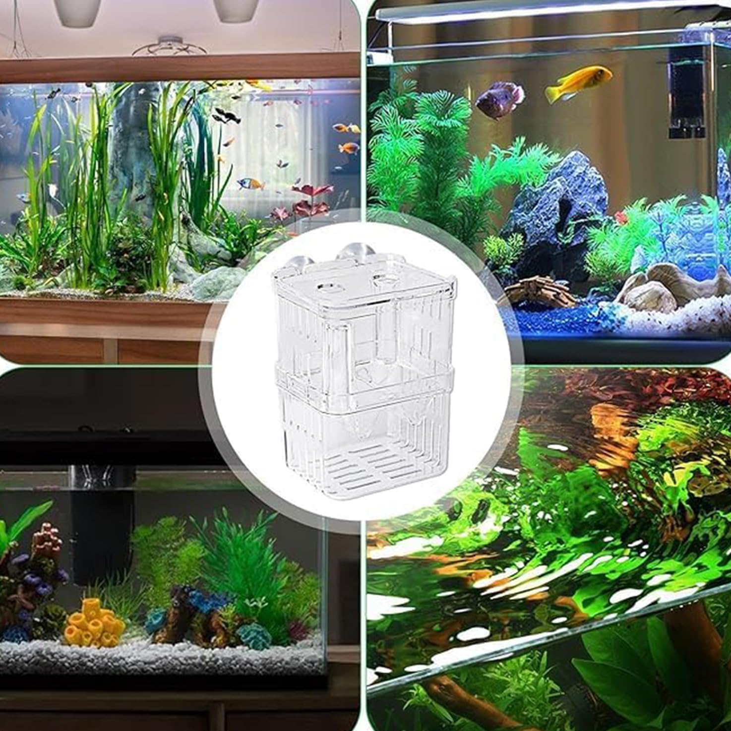 WADY 1Pc Breeding Box for Fish Tank, Fish Breeding Box Isolation Box Fish Isolation Hatchery, Aquarium Hatchery Incubator Breeder Box, Acrylic Hatchery Incubator Tank Fish Tank Divider image number 2