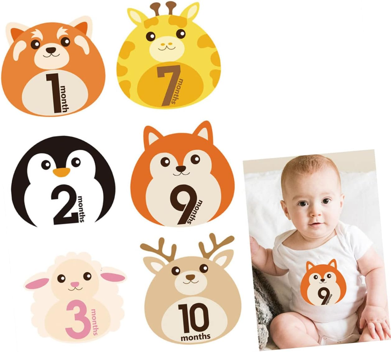 12Sheets Monthly Stickers for Newborn Animal Design Milestone Belly Stickers Self-Adhesive Decals for Photos image number 2