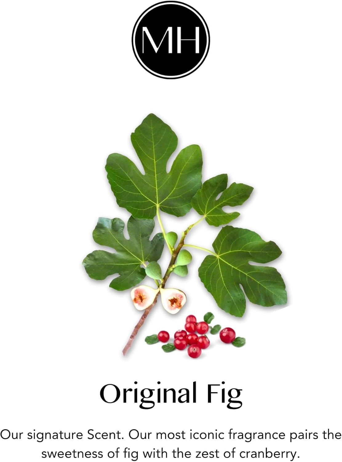 Heirloom Dish Soap, Made in Australia, Plant-Based, Non-Toxic, Biodegradable, Refill 946Ml (Original Fig) image number 4