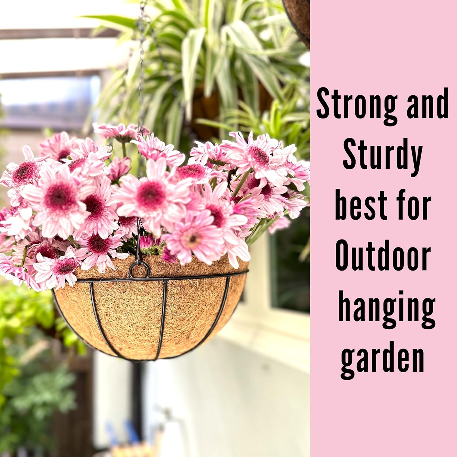 Hanging Basket for Plant - 3 Pack, 10 Inch, Hanging Metal Wire Planters with Coco Liner, Flower Pots Hanger round Plant Holder Porch Home Decor Garden Outdoor Macetas Colgantes Para Plantas image number 5