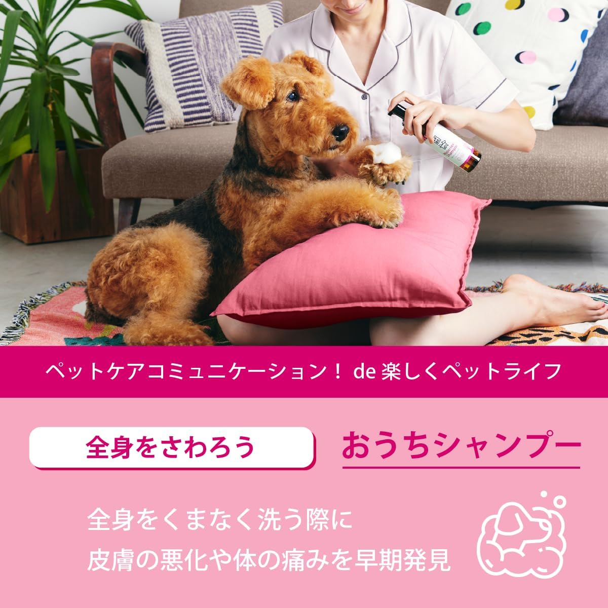 A.P.D.C. Waterless Shampoo, Refill, 16.9 Fl Oz (500 Ml)