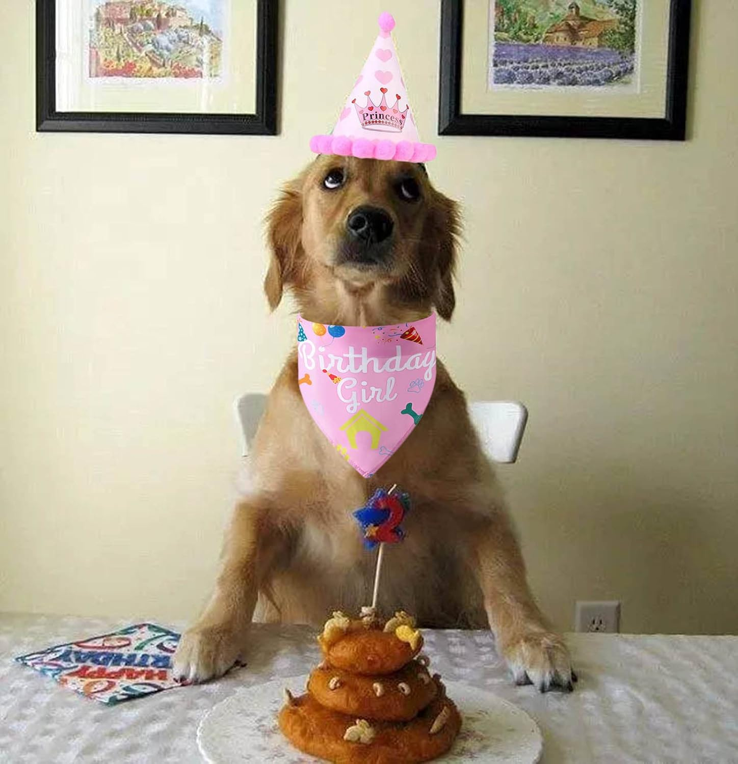 Dog Birthday Bandana and Hat Kit,Triangle Dogs Scarf with Birthday Boy/Girl Decorations,Puppy Birthday Cake Outfit Gift Pet Party Supplies Accessories (Pink) image number 6