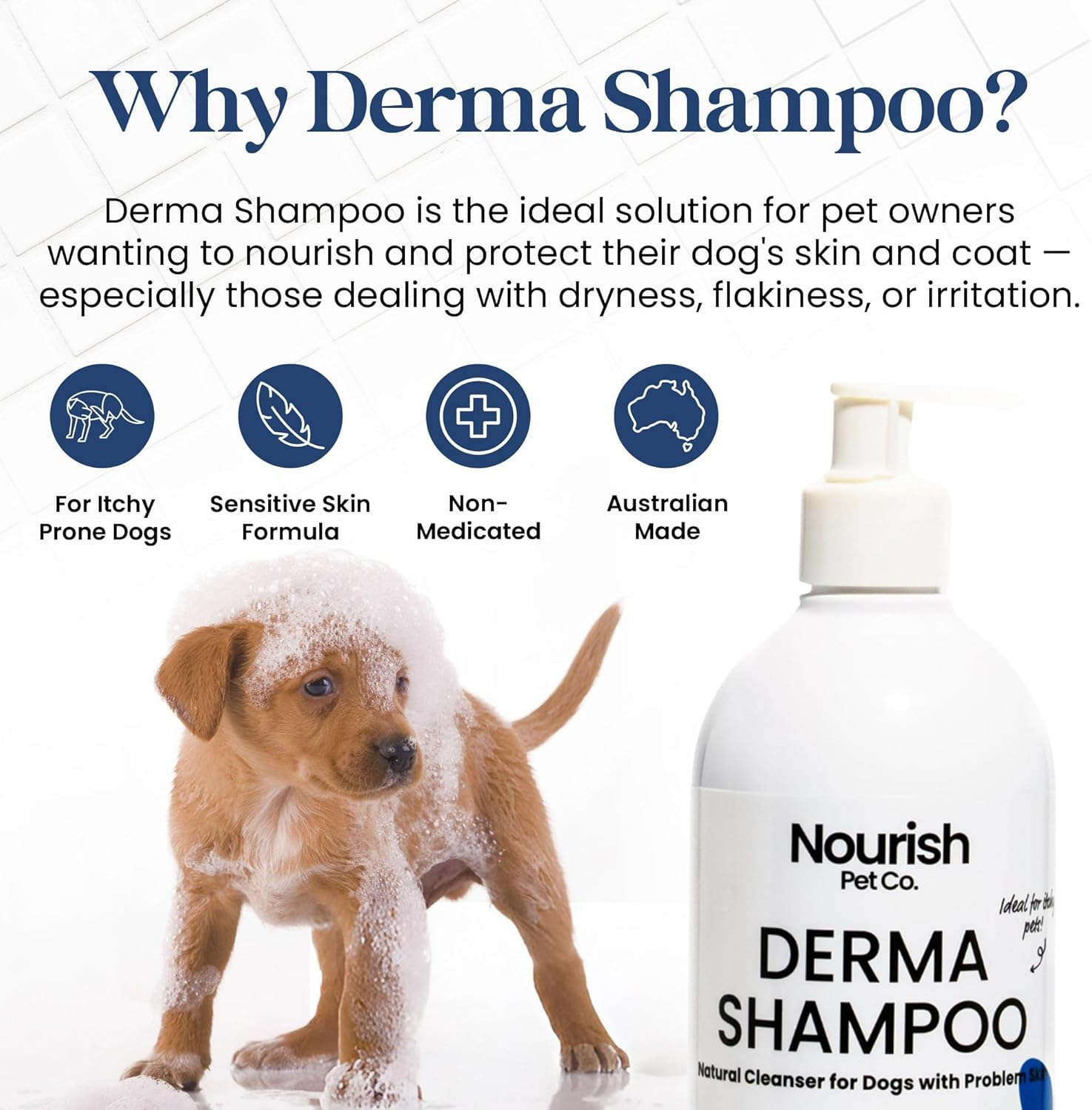 Nourish Pet Co. Derma Shampoo for Itchy Dogs - Dog Shampoo for Sensitive Skin, Hypoallergenic Gentle Cleansing Wash, Soothes Dryness & Irritation, Supports Coat Health image number 3