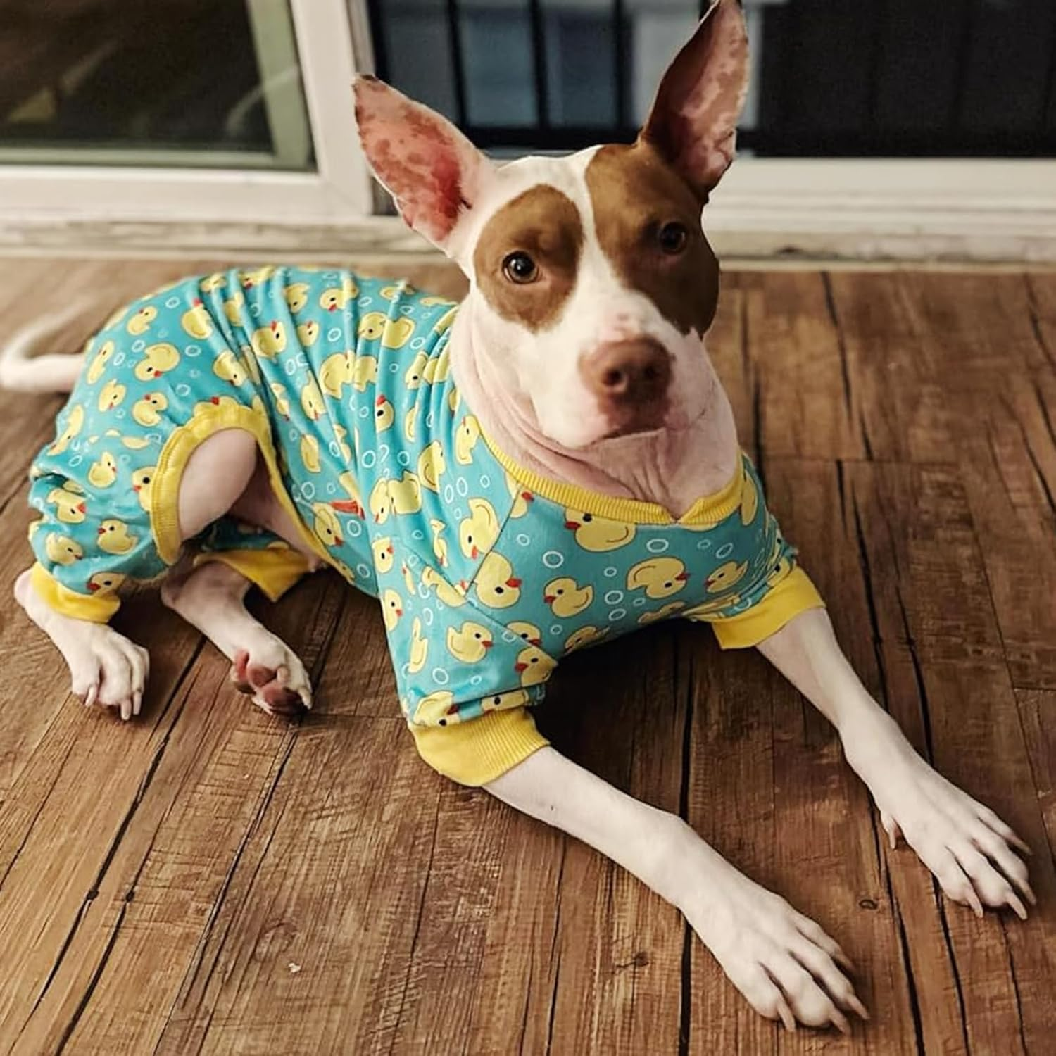 KYEESE Dog Pajamas Velvet Dog Pajamas Medium Sized Dogs Soft Dogs Clothes Pjs with Yellow Ducks Pattern Stretchy Pet Jammies Coat Comfy Pet Onesie Costume, 2X-Large image number 6