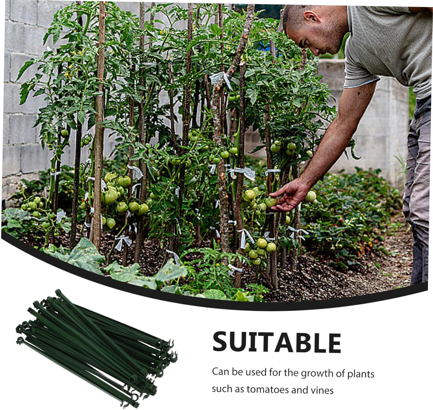 Kisangel 36Pcs Stakes and Supports Plant Support Rack for Gardening Cage DIY Stake Arms Plant Cage Trellis Connectors image number 2