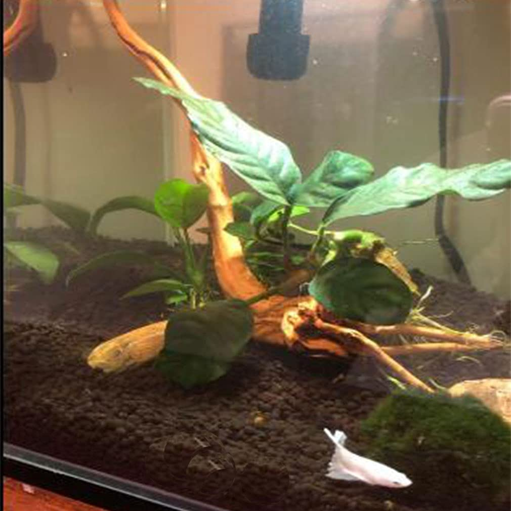 Emours Natural Aquarium Driftwood Tropical Fish Plant Habitat Decor Vary Sizes, 2 Pcs Set (Medium)