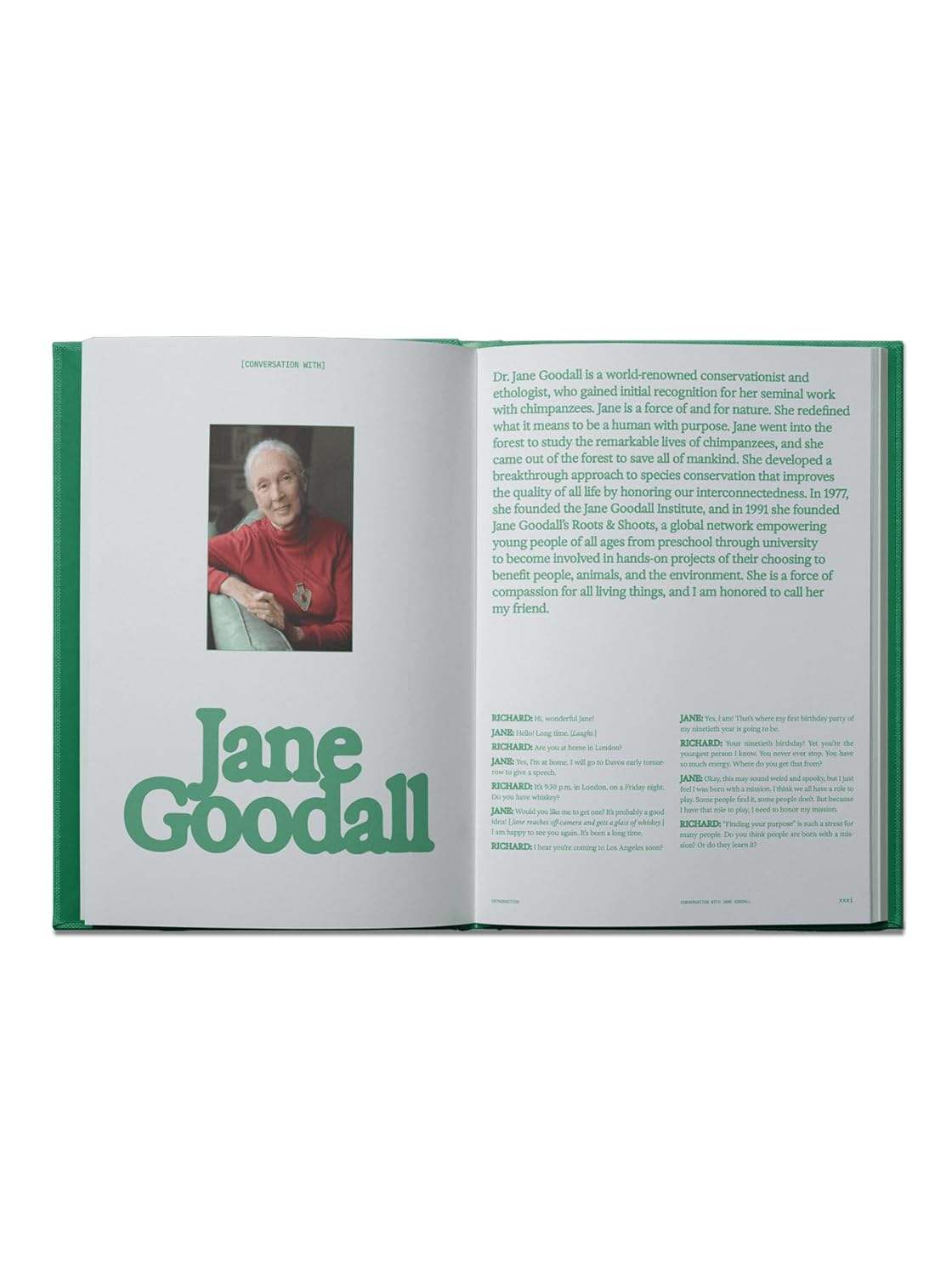 Flamingo Estate: the Guide to Becoming Alive: Luxurious Rituals to Ignite Your Senses and Rejuvenate Your Soul image number 1