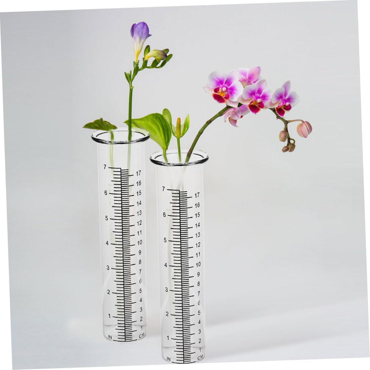 4Pcs Transparent Glass Rain Gauge Tubes with Design Accurate Rain Measuring Tools for Garden Lawn Patio Wear-Resistant Outdoor Collectors image number 4