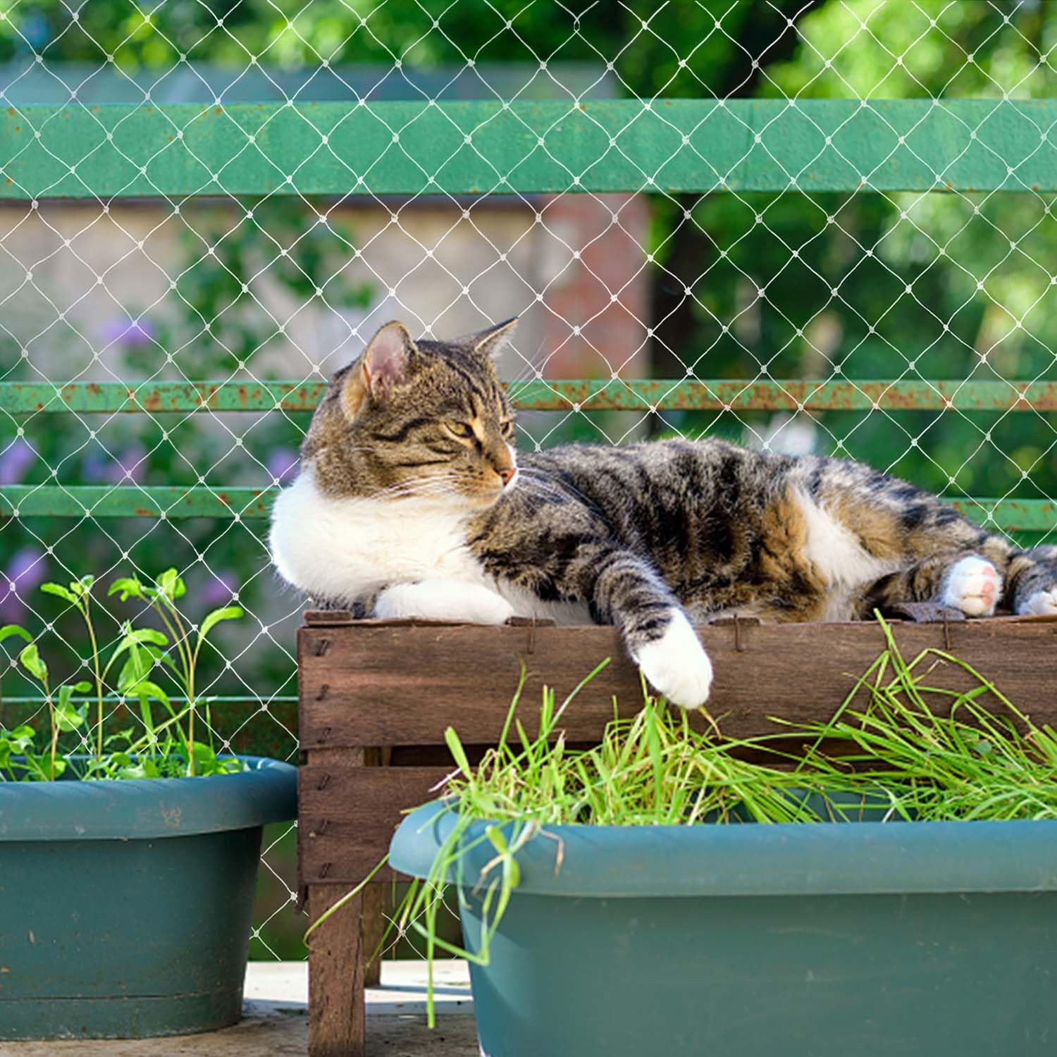 Lovesmile Cat Protection Net, Balcony Net, 5 X 5 M Balcony Net for Cats, Cat Net Balcony No Drilling, Bird Protection Net Tight Mesh, Bird Nets Bird Protection Net for Garden Fences, Fences, Orchards