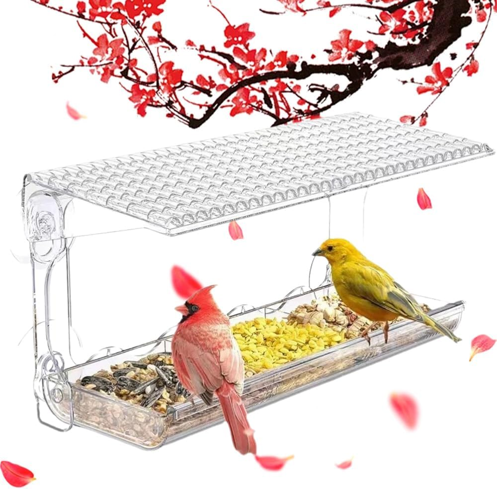 Window Sparrow Feeder with Strong Suction Cups, Transparent Bird House Outside, Hanging Small Animal Bowl for Garden, Yard, Elderly Kids Viewing image number 5