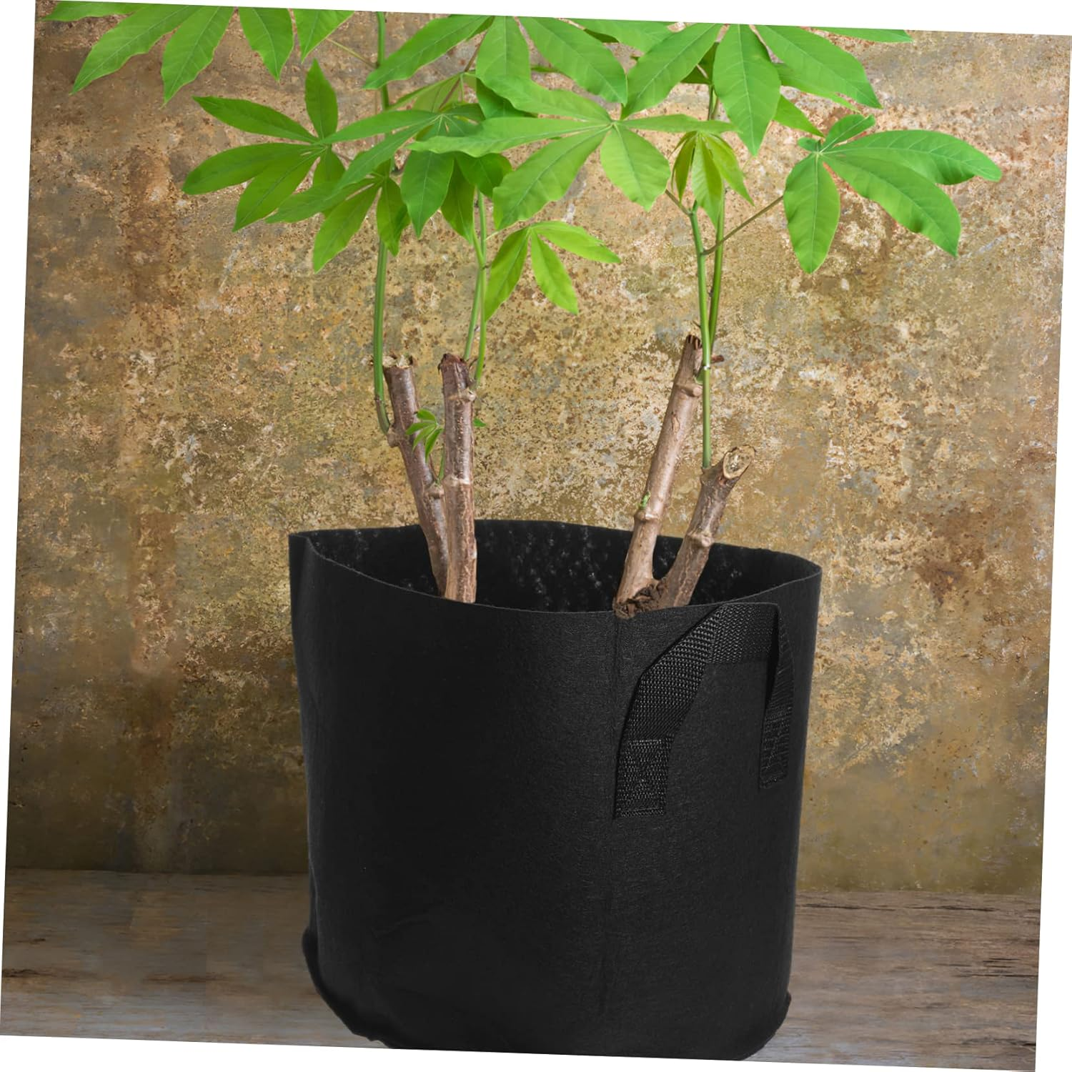 Yardwe Thickened Non-Woven Fabric Grow Bags 6Pcs 3-Gallon Planting Pouches for Vegetables Flowers Nursery Ventilated Design Sturdy Black Gardening Plant Grow Bags for Garden and Patio Use image number 4