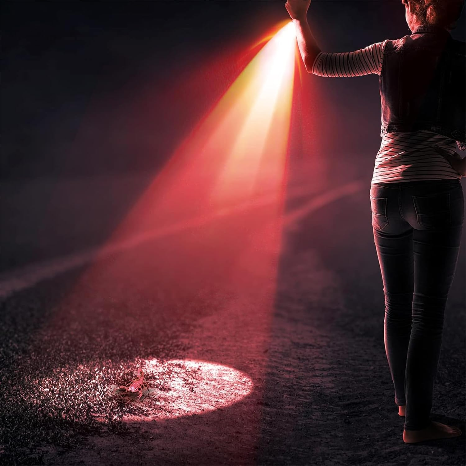 MODOAO Red Light LED Torch, 4 Pack High Power LED Pen Flashlights, Waterproof Handheld Flashlights Pocket Compact Torch with Clip, for Camping, Hiking, Night Vision, Astronomy and Emergency image number 4