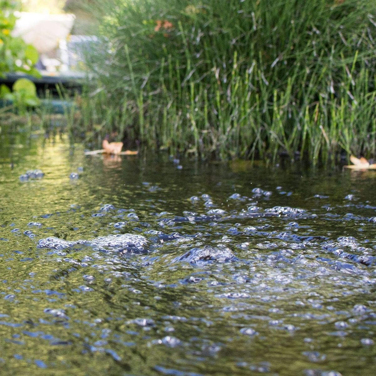 Blagdon Pond Oxygenator 2400, 10 Outlet Air Pump for Koi Ponds up to 7,500 Litres, Suitable for Aeration and Oxygenation in Hydroponic and Aquaponic Systems