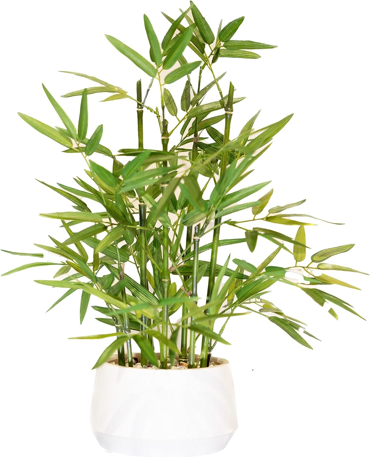 365 Blooming Decor 18" White Potted Faux Bamboo Plant- Luxury Artificial Bamboo Tree in White Pot for Home, Office, Kitchen, Counter Top, Indoor Decor, Money Tree, Lucky Bamboo Tree