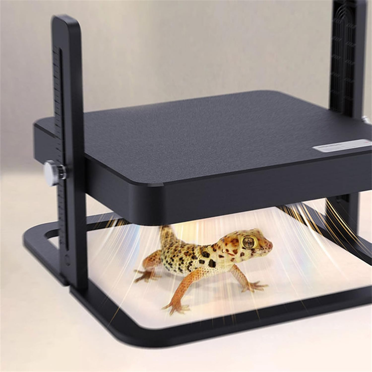 13W Chick Brooder Heating Plate Chicken Coop Heater Poultry Brooder 27Cmx27Cm Adjustable Height Angle for Hatching Chicks Ducklings Poultries Warms up to 15 Chicks