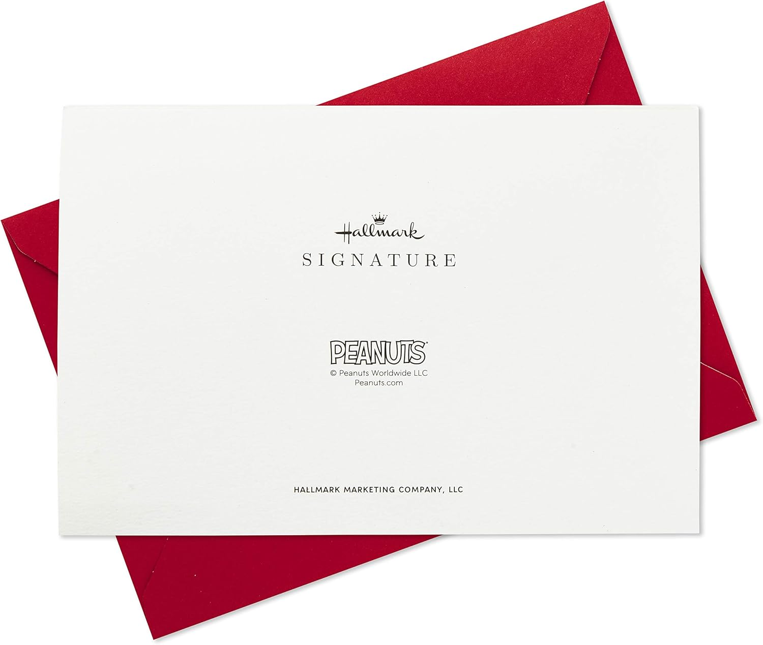 Hallmark Signature Peanuts Birthday Card (Snoopy Canoe) image number 4