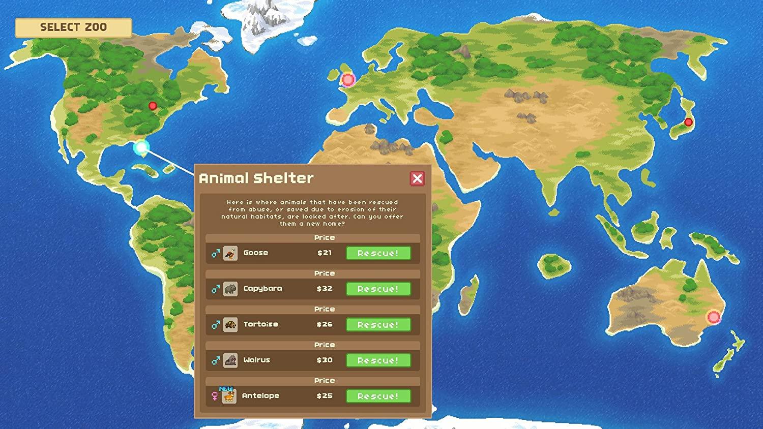 Let&rsquo;S Build a Zoo (Nintendo Switch)