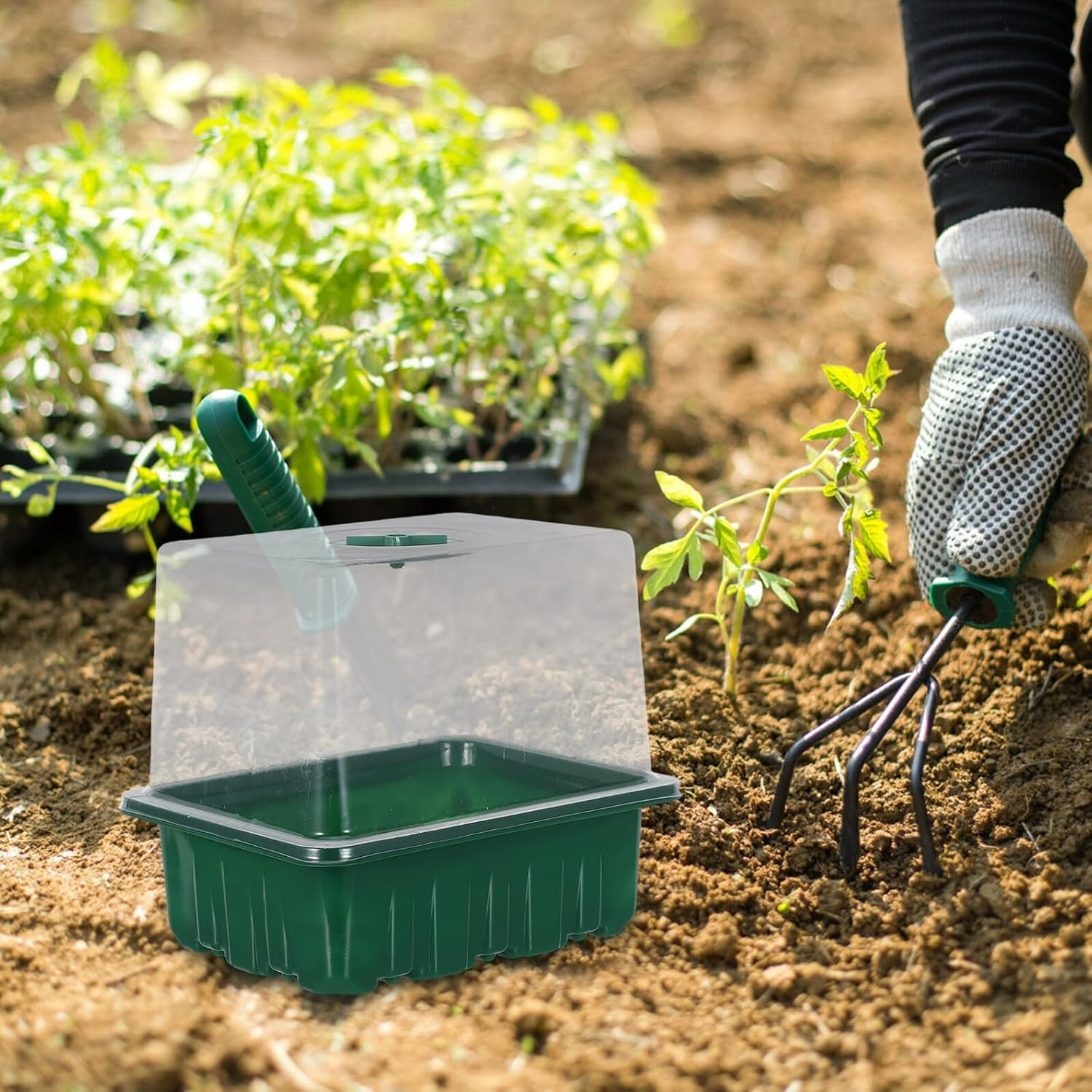 FUNOMOCYA Breathable Plastic Seedling Tray Kit 6-Cell Raised Green Propagation Box with Lid 10Pcs Seed Starter Trays with Markers for Indoor Gardening and Vegetable Germination image number 5