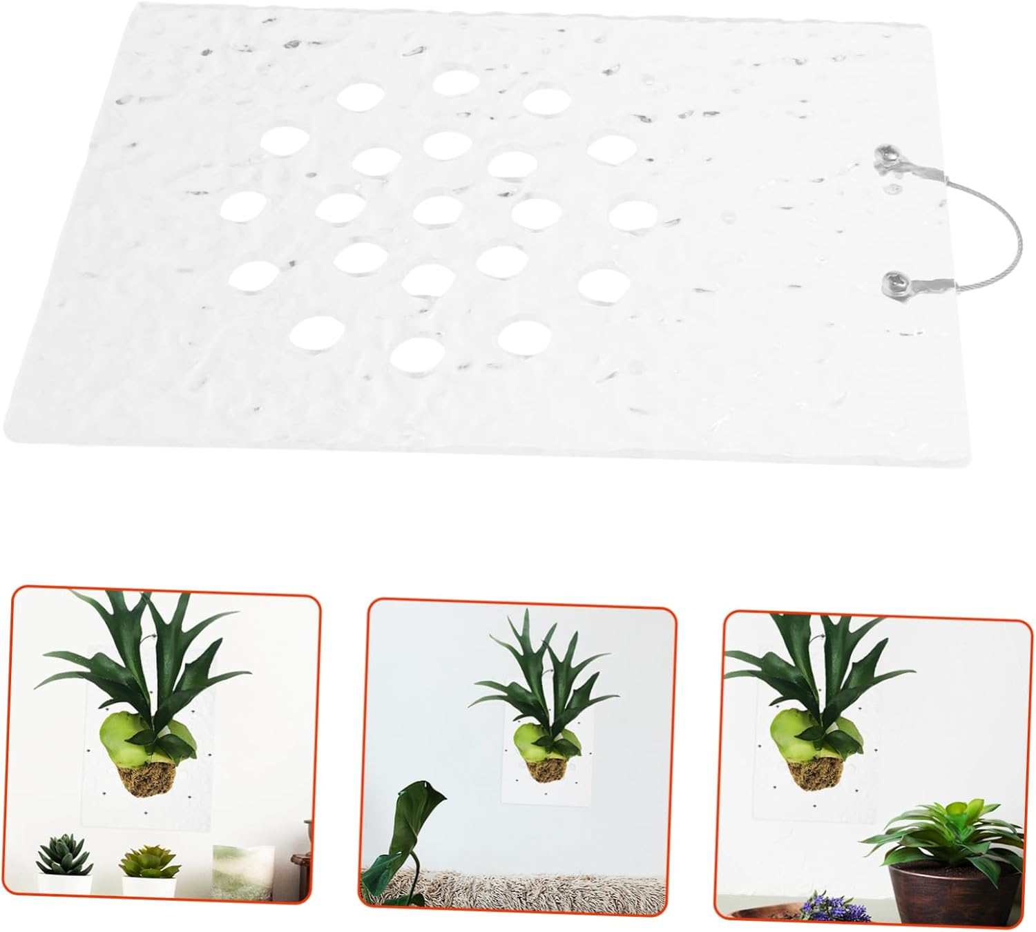 Mounted Plant Board Fern Board Vertical Planter Acrylic Wall Hanging Easy Install image number 4