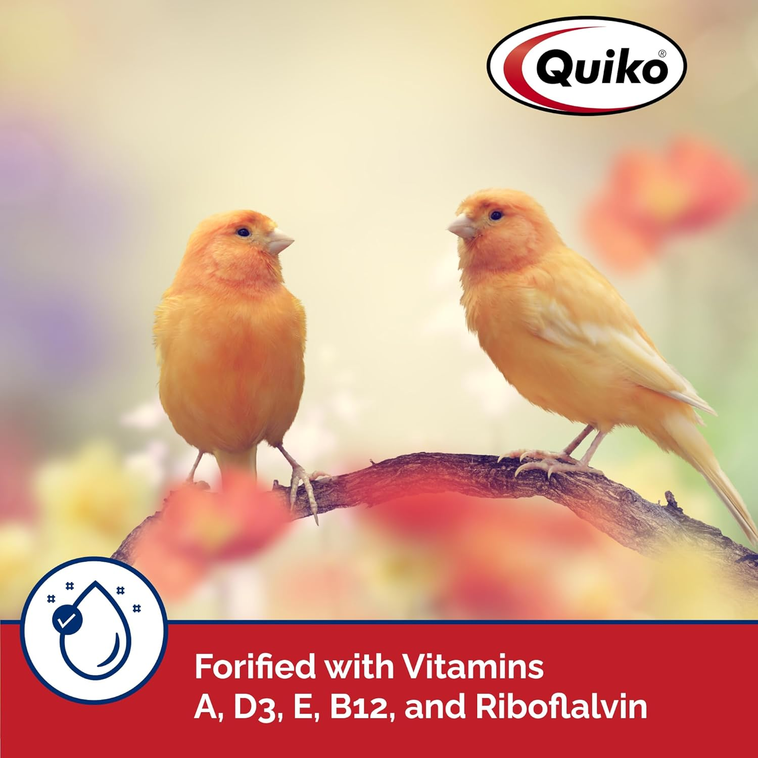 Quiko Special Red Egg Food Supplement, Red-Factor Formula with Canthaxanthin for Canaries, 1.1 Lb. Pouch image number 4