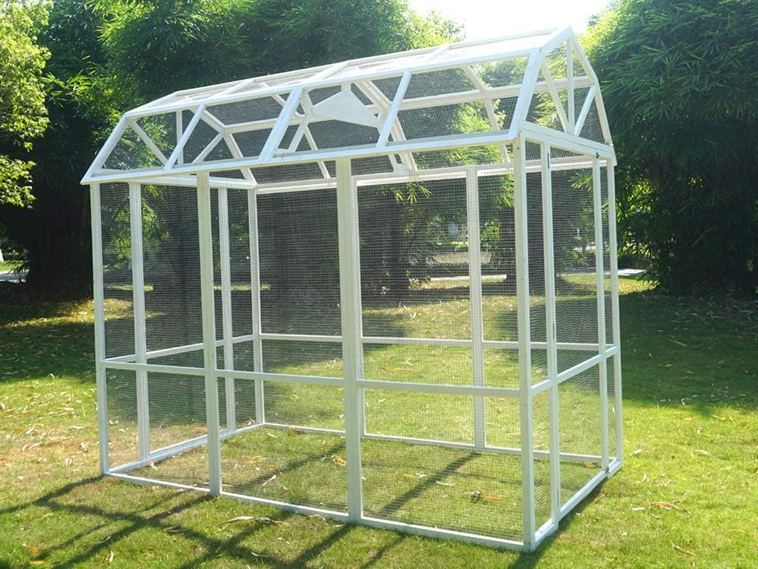 The Grand Barn Chicken Run image number 6