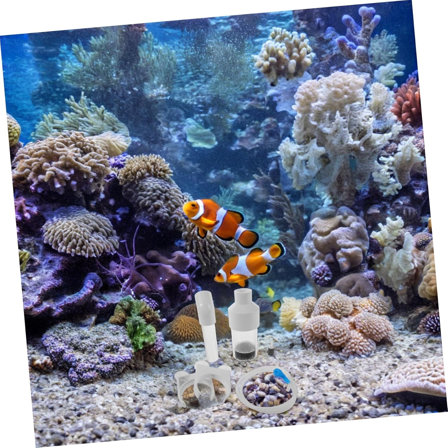 INOOMP Fish Egg Incubator Aquarium Cichlids Breeding Tank Enhances Hatching Success for Aquatic Pets image number 3