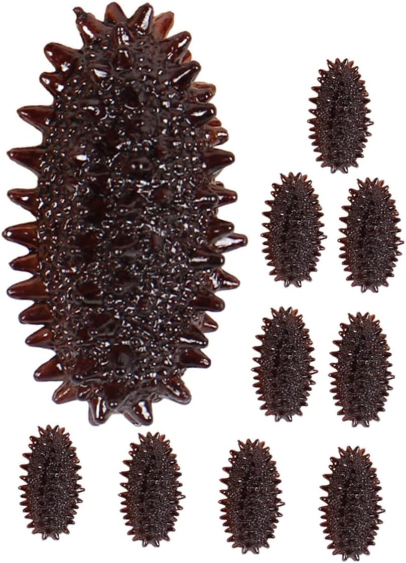 10Pcs Realistic Fake Sea Cucumber Model Portable Food Photo Prop Lifelike Decorative Model for Photography Display image number 3