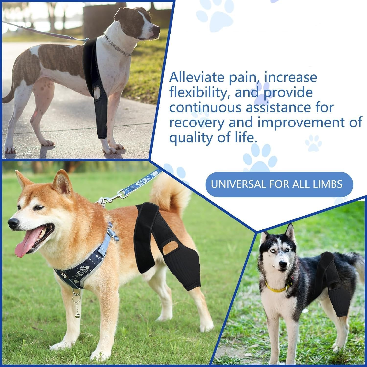 Dog Knee Brace with Side Stabilizers for Dog ACL, Adjustable Canine Shoulder Leg Hip Wraps for Arthritis & Torn CCL, Wound Care & Loss of Stability from Arthritis (M, Black)