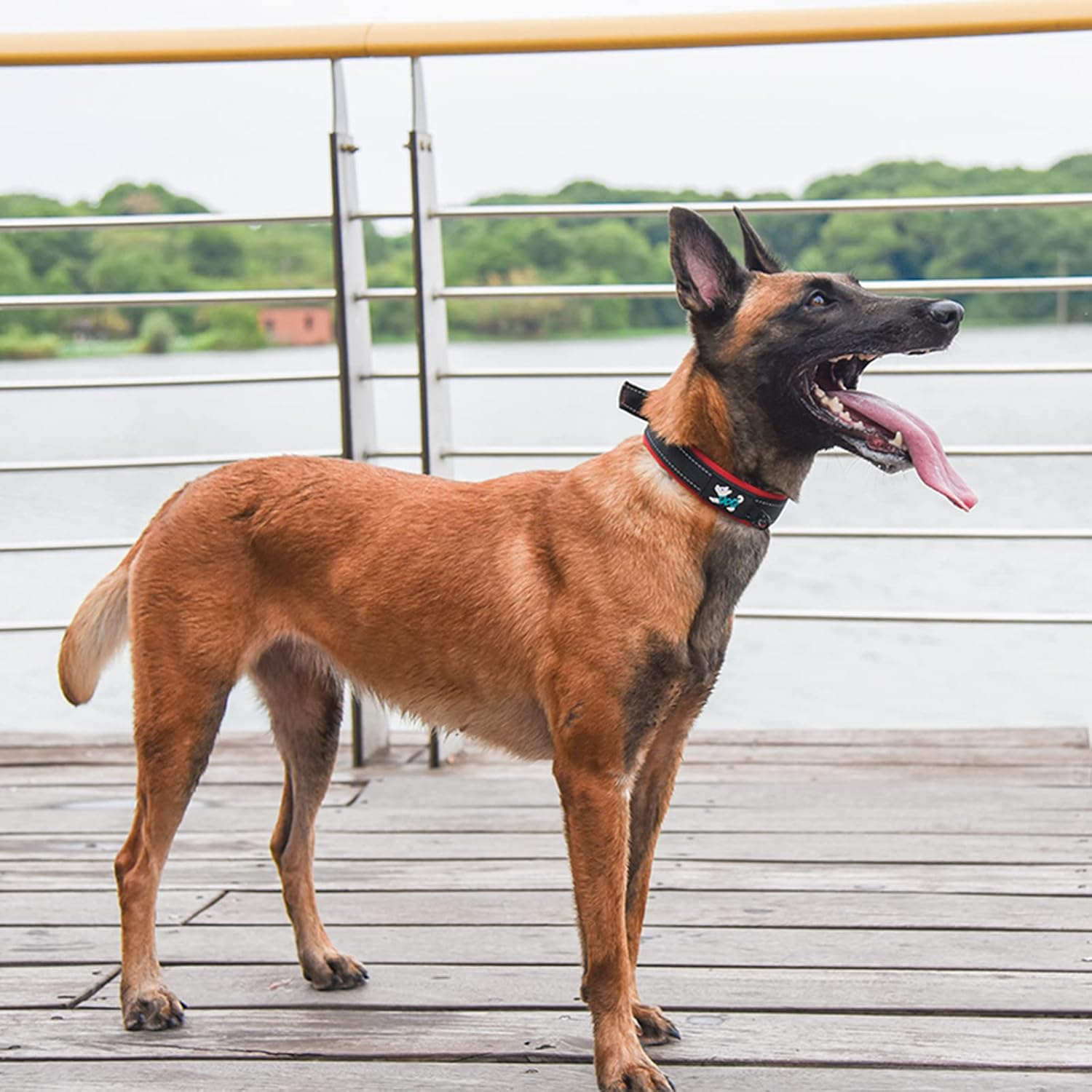 Haoyueer Comfortable Soft Neoprene Padded Dog Collar, Reflective Pet Collar, Adjustable Durable Nylon Dog Collar for All Breeds Large Dogs (S, Pink) image number 3